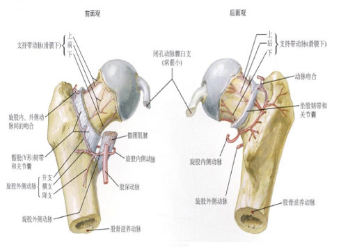 最后一道防線
